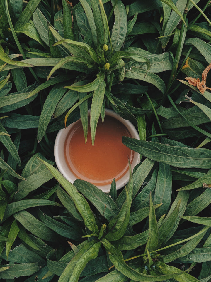 CBD Infused Tea