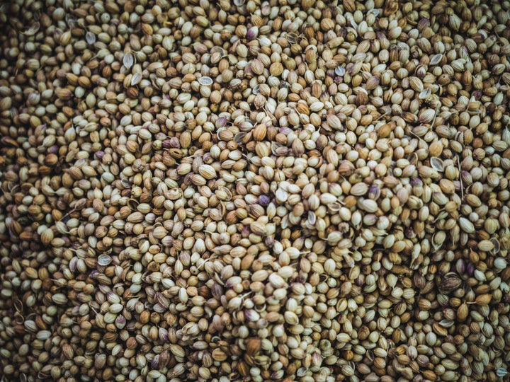 Deep Dive into Hemp Seeds