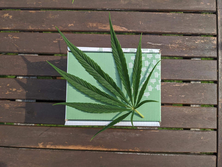 cannabidiol hemp leaf on box depicting different ways to take cbd