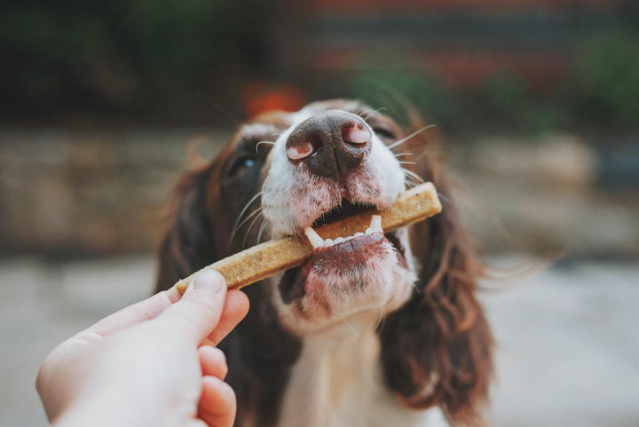 dogtreatscbdtreatsforpetscattreatsanxiety