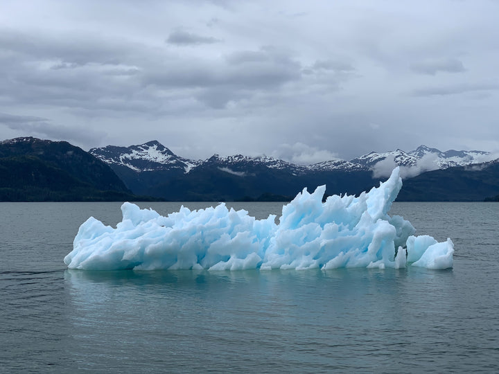 ice caps melting going over how hemp could help in the realm of climate change