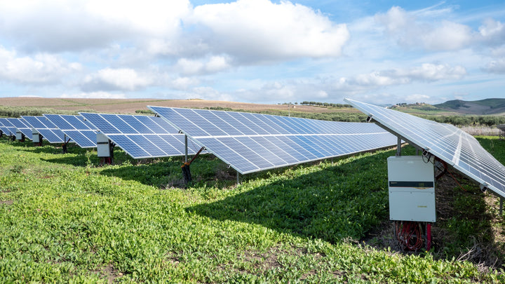 How the Hemp Industry Can Help the Environment Using Solar