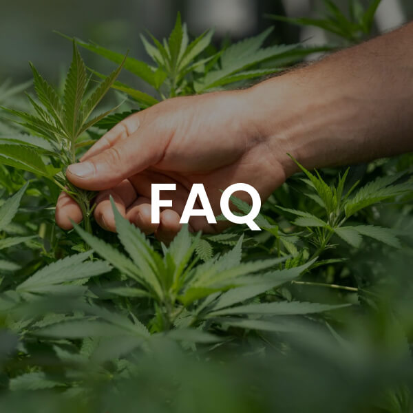 Frequently Asked Questions